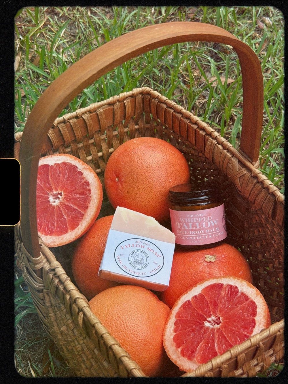 Organic Tallow Pink Grapefruit Balm & Soap Bundle